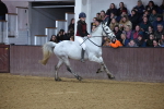 SBM_006444