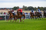 160926-Race 4-Woodvale-0656