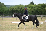 WJ6_9039