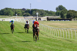 080726-Race 5-Sugarpiehoneybunch-7533