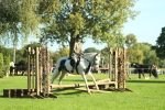 SBM_36430