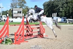 320-FINLAY.M.AUREA-Charlotte.Armstrong-SJ portfolio