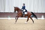 SBM_009608