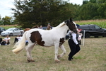 WJ6_5579