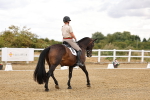 SBM_006389