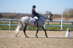 SBM_003280