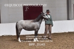 BPP_0140