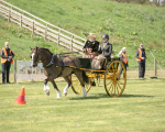 Attelage -755