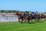 Race 6 16.45pm Nation Radio Yorkshire Handicap portfolio