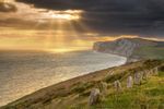 z1964 Tennyson Down