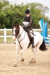 SBM_008656
