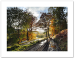 After rain ♦ GLEN LYON
