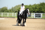 SBM_007887