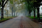 8th St.