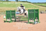 BPP_2010