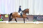 SBM_002859