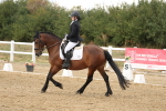SBM_010597