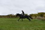 WJ5_6794
