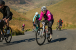 100646-2
