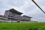 Race 4 3.35pm Sky Bet Ebor Handicap portfolio