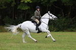 Class 28: 75cm Working Hunter portfolio