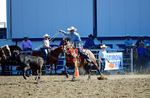 3HRodeo8-11-25_PRCASteer_00505_