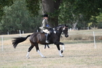 WJ7_7666