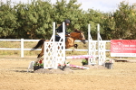 SBM_006211