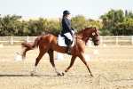 SBM_017018
