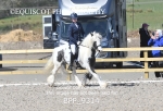 BPP_9314