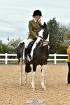 Cls 59 Ridden Mare portfolio