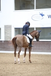 Class 5 - Novice 6 Gold - 10.24-11.30 portfolio