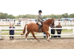 SBM_04195