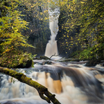 Catrigg Force