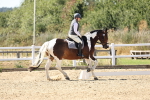 SBM_003406