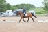 BPP_0345