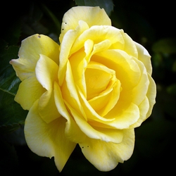 Photographs portfolio