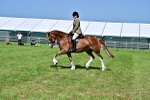 SBM_03747