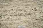 230708A-105538-00779