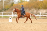 SBM_001830