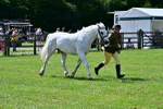 SBM_03855