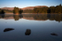 Stillness & Light