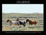 Collaborate Poster Wild Horses
