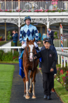 141023-Race 2-Whiskey Pete-0805