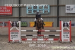 BPP_2016