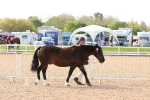 SBM_17969