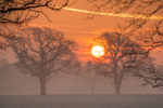 z2998 Winter Sunrise, Nunwell