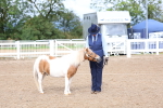 SBM_00271
