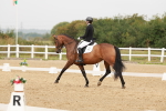 SBM_009380