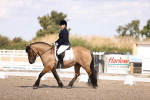 SBM_03597